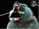 Pink Floyd Dark Side of the Moon