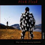 Pink Floyd Delicate Sound Of Thunder